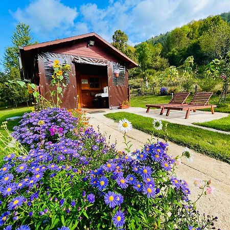 Cottage La Sierra With Jacuzzi Korenica Extérieur photo