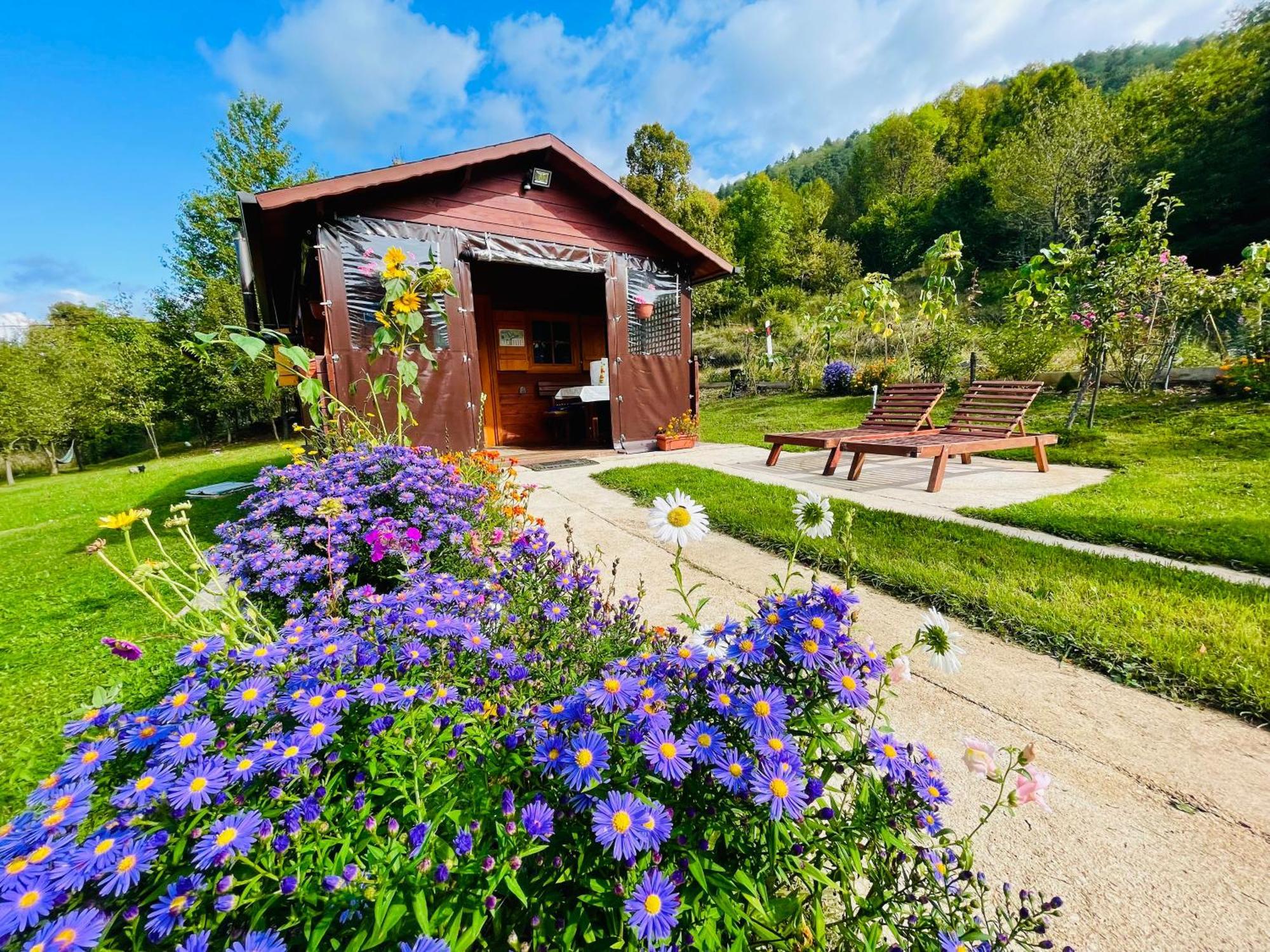 Cottage La Sierra With Jacuzzi Korenica Extérieur photo